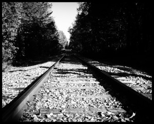 Eerie tracks in the middle of Durham, NC