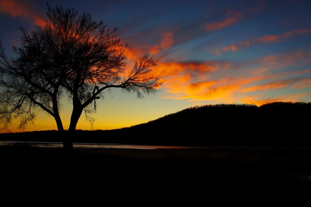 A lone tree on the banks of the Arkansas River at sunset.